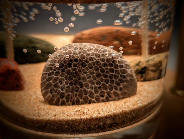 Lake Michigan Charlevoix Stone Beach Candle
