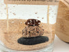 Lake Life Gel Candle